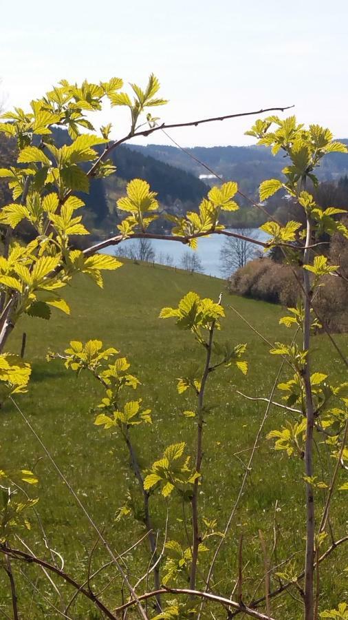 Ferienhaus " Silly " Am Schoenen Listersee Meinerzhagen Esterno foto